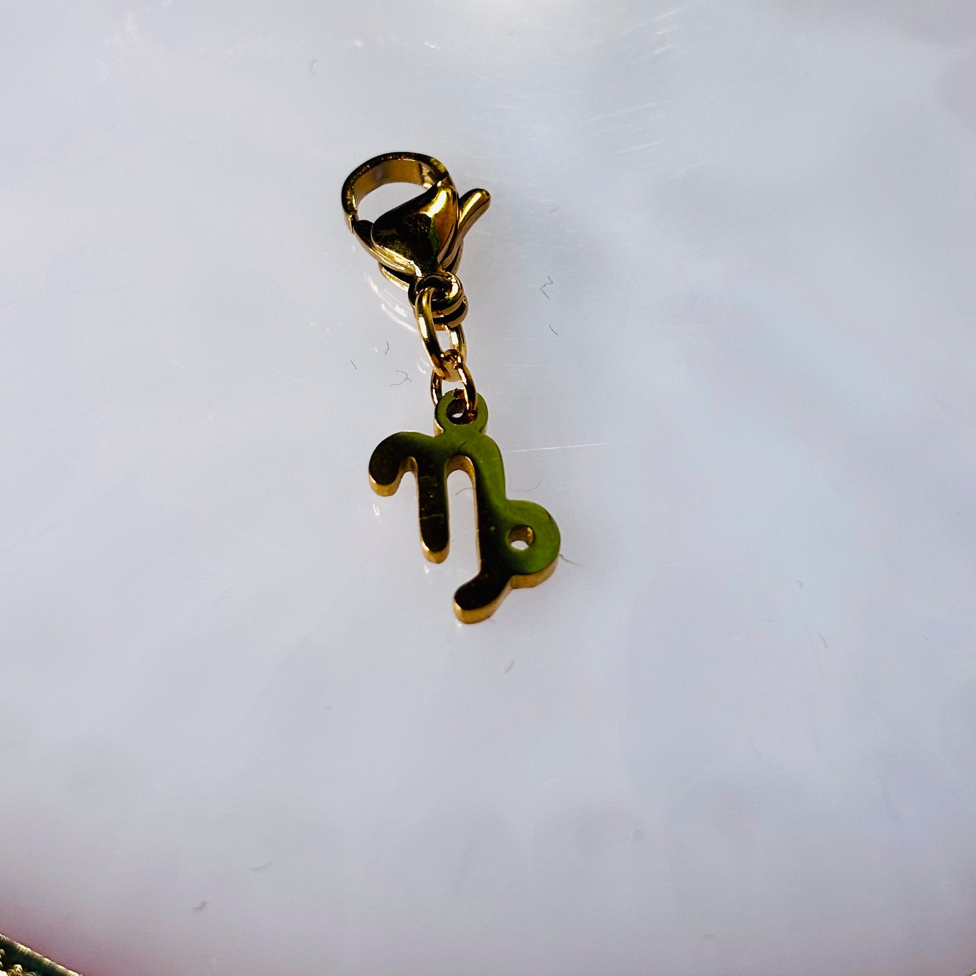 Charm "Le signe astro Capricorne"