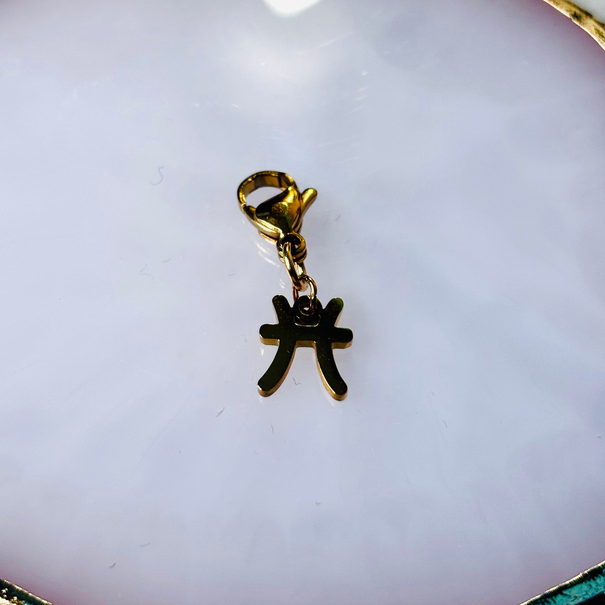 Charm "Le signe astro Poisson"