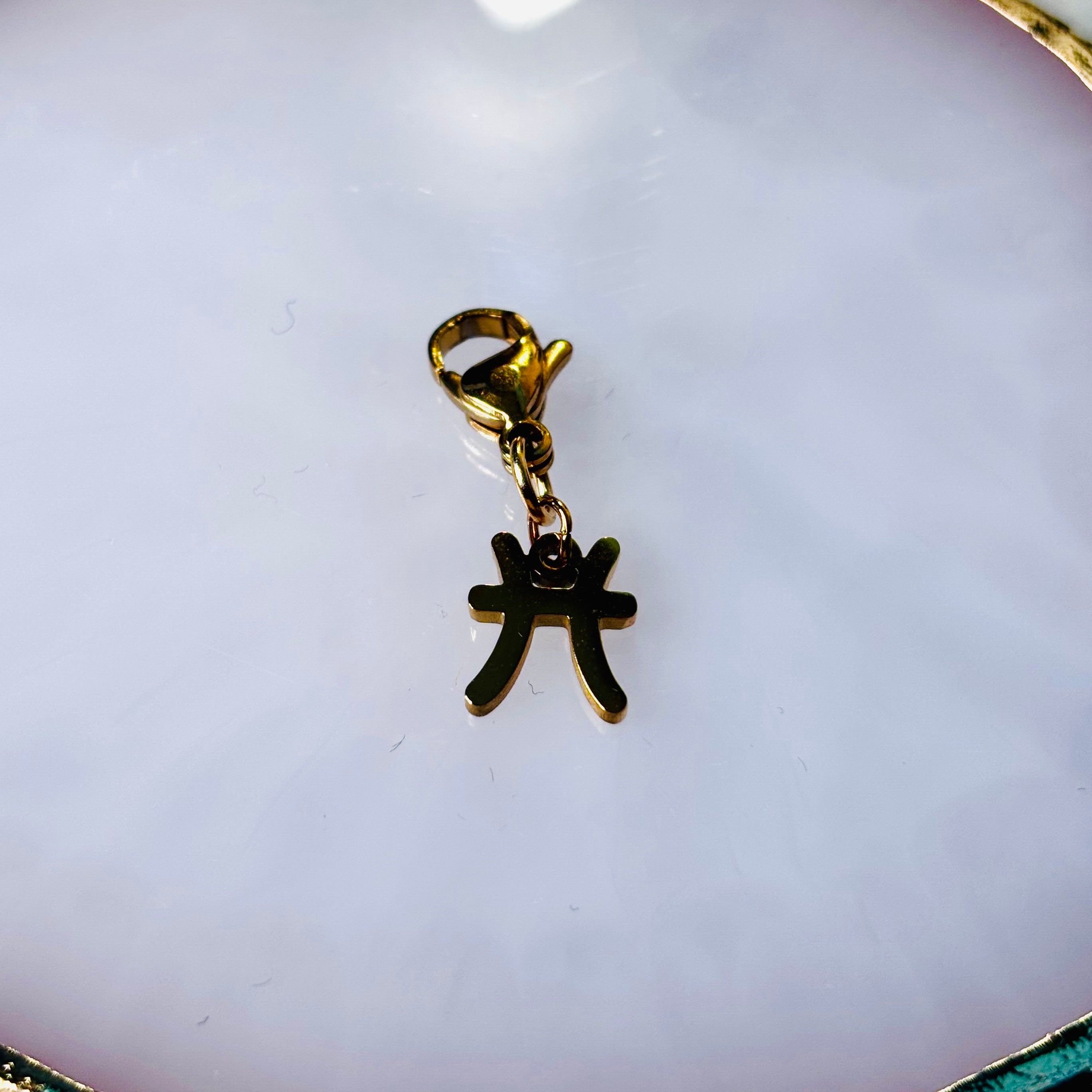 Charm "Le signe astro Poisson"