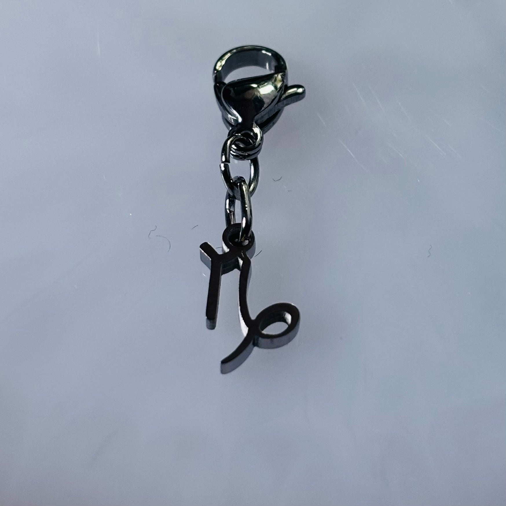 Charm "Le signe astro Capricorne"