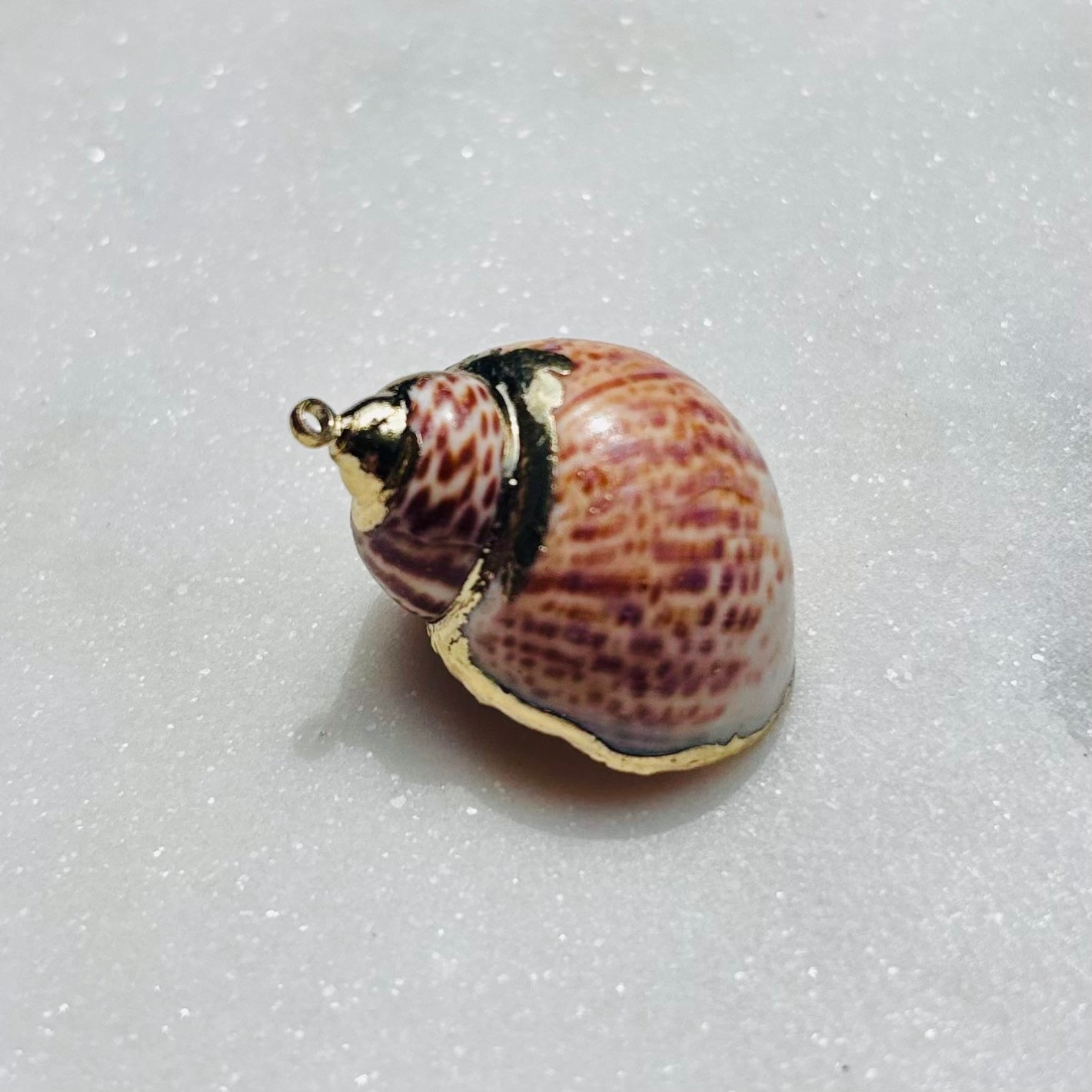 Coquillage