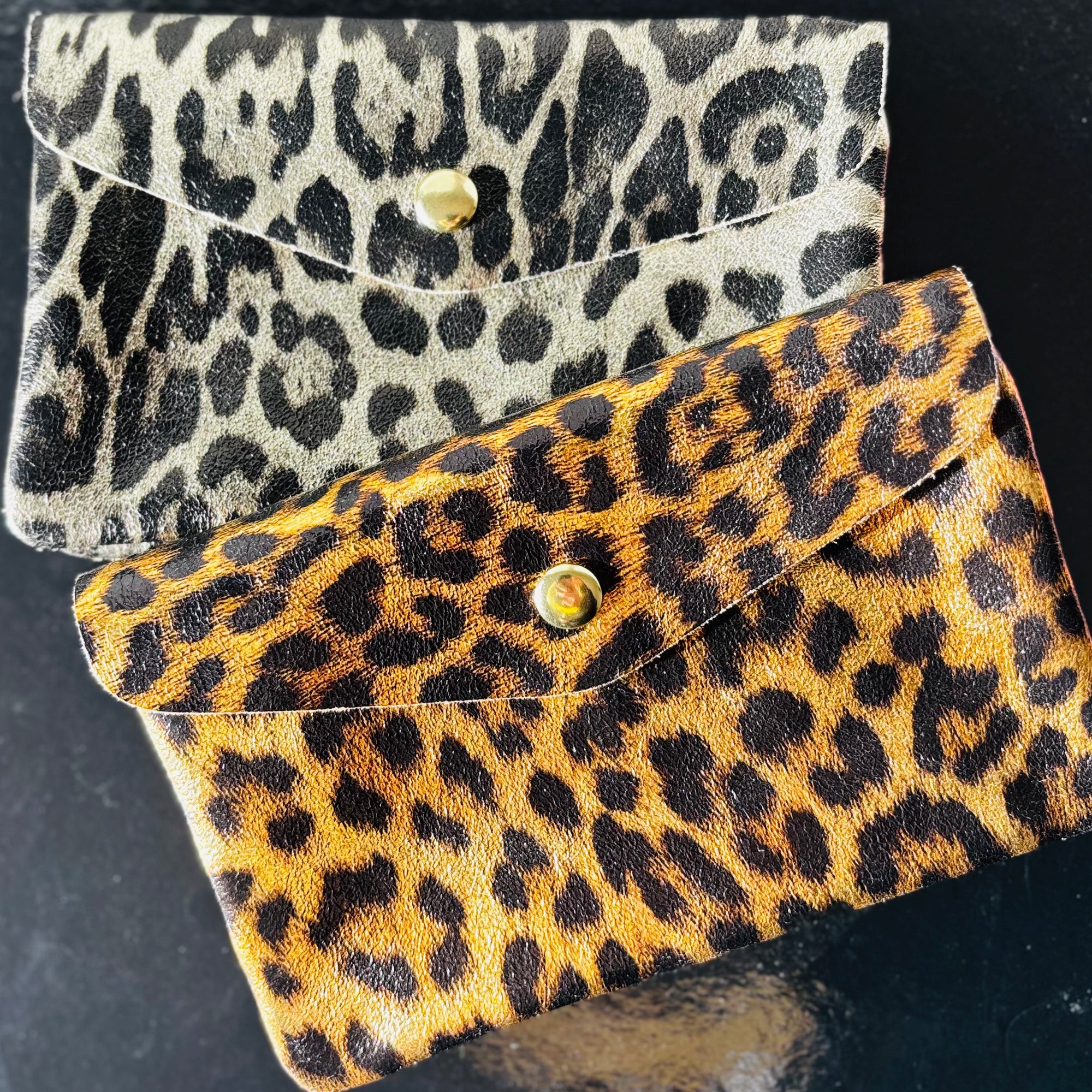 Portefeuille "Cheetah"