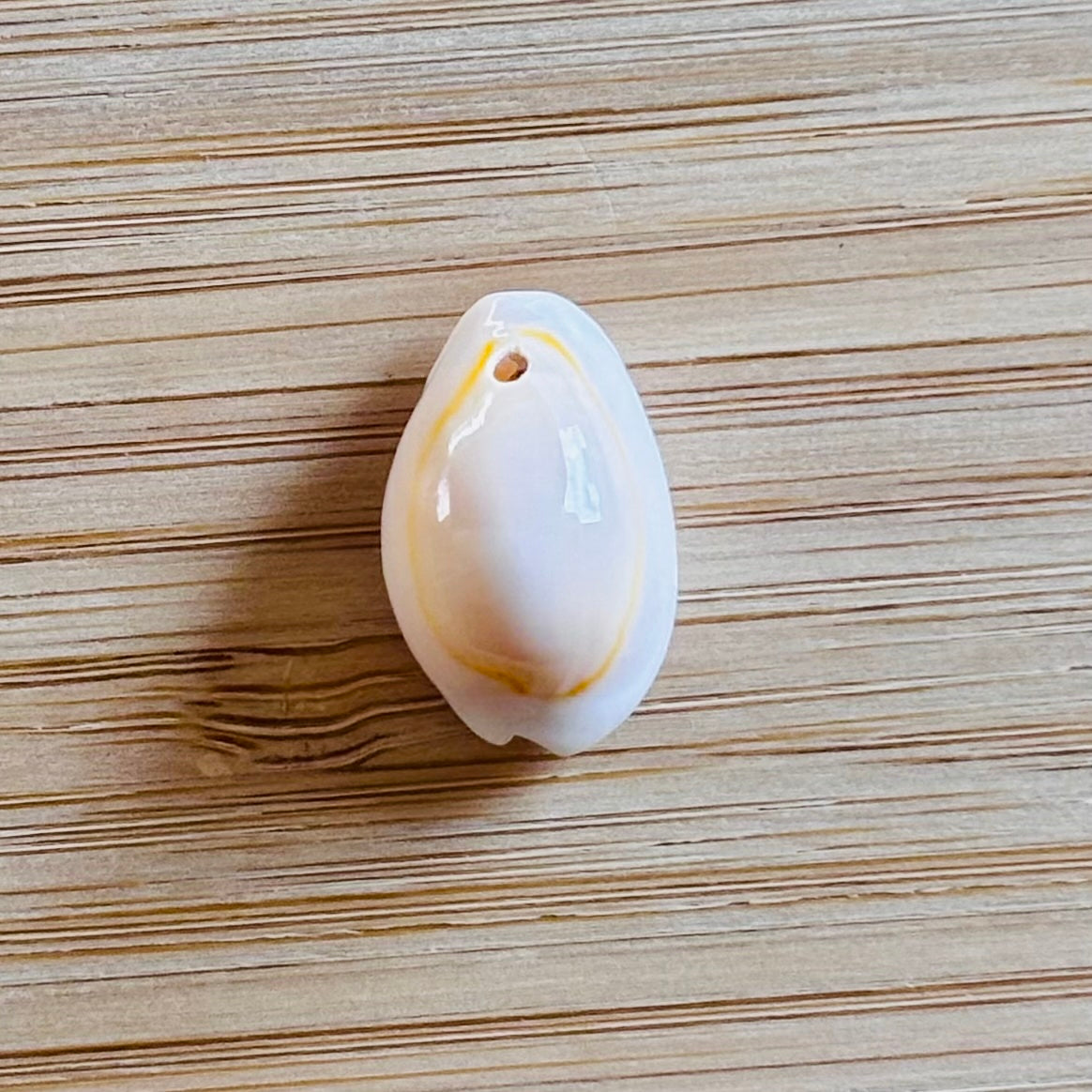 Coquillage